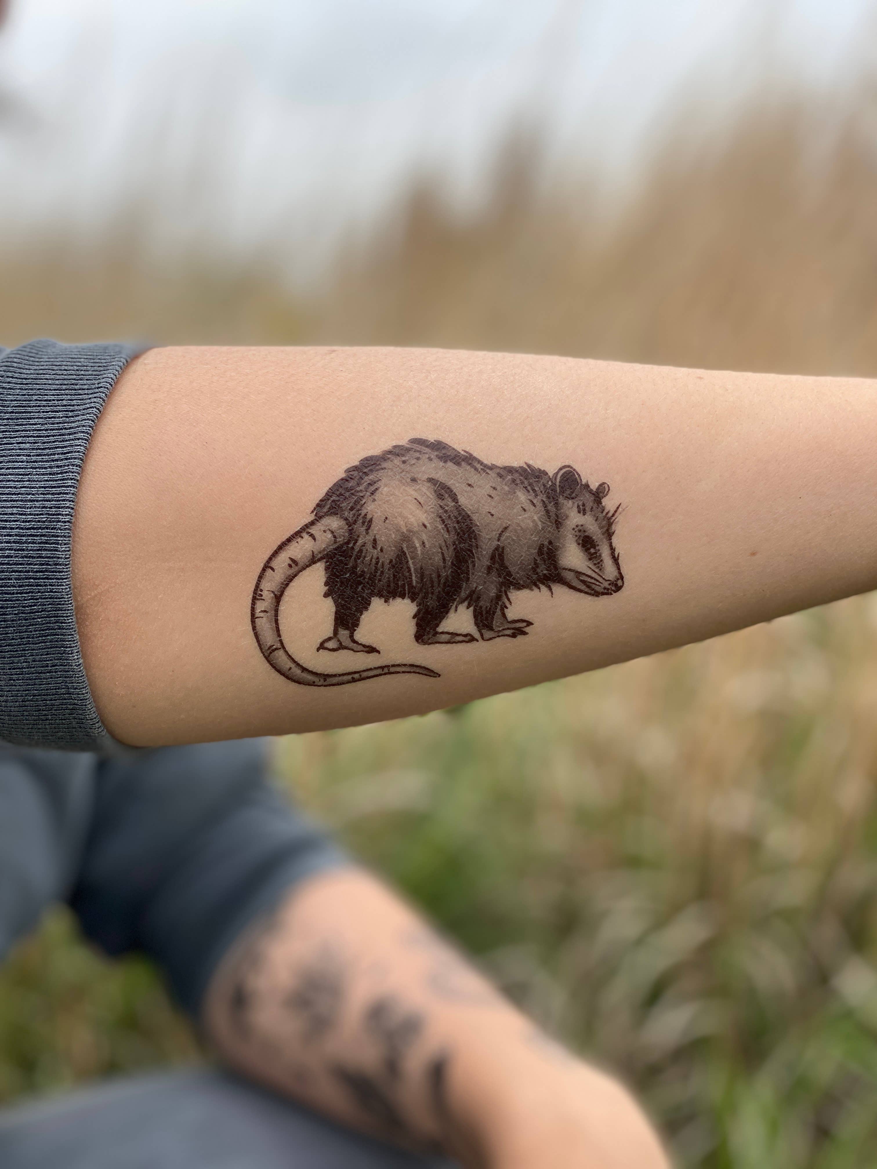 Opossum Temporary Tattoo