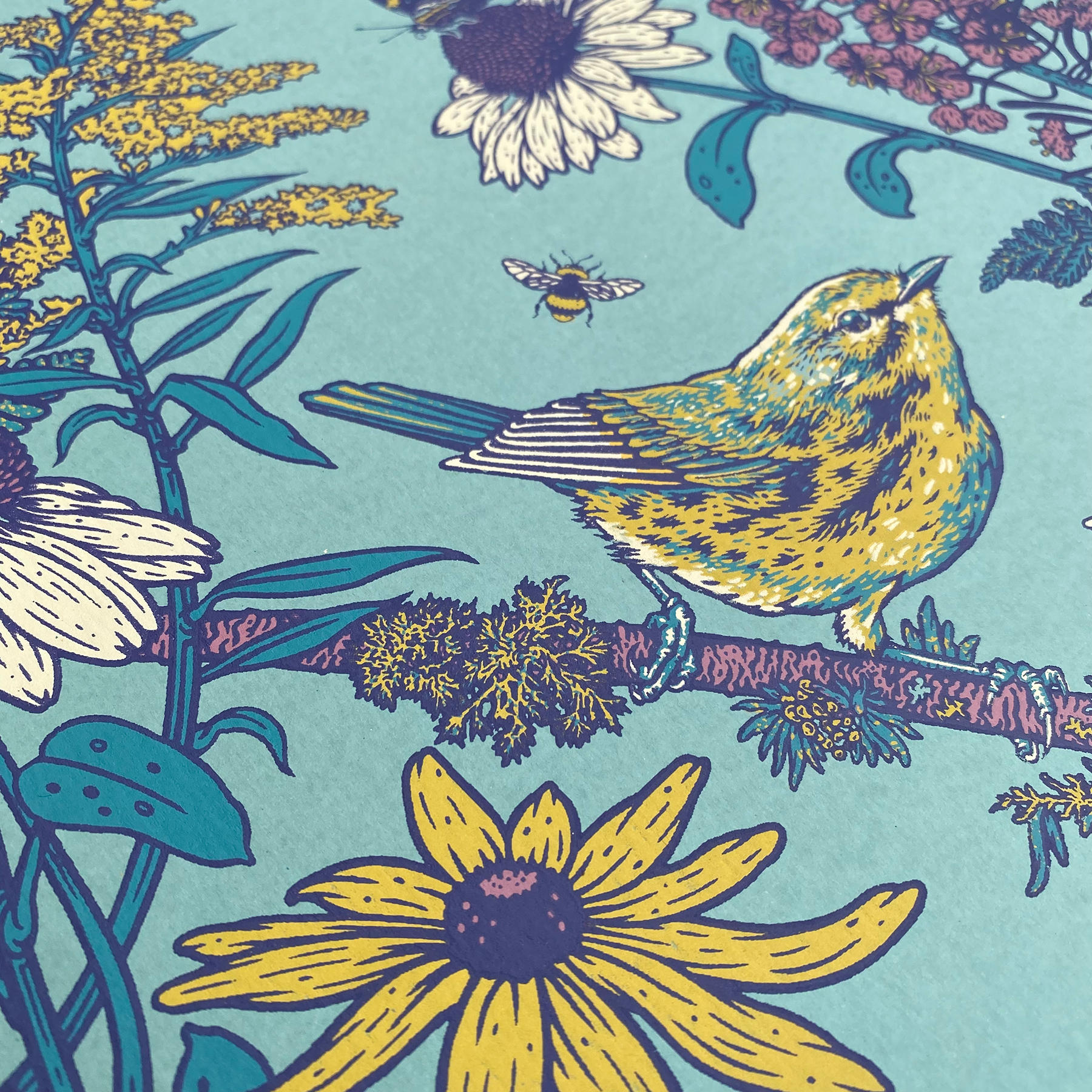 Prairie Warbler 11x14" Giclee Print