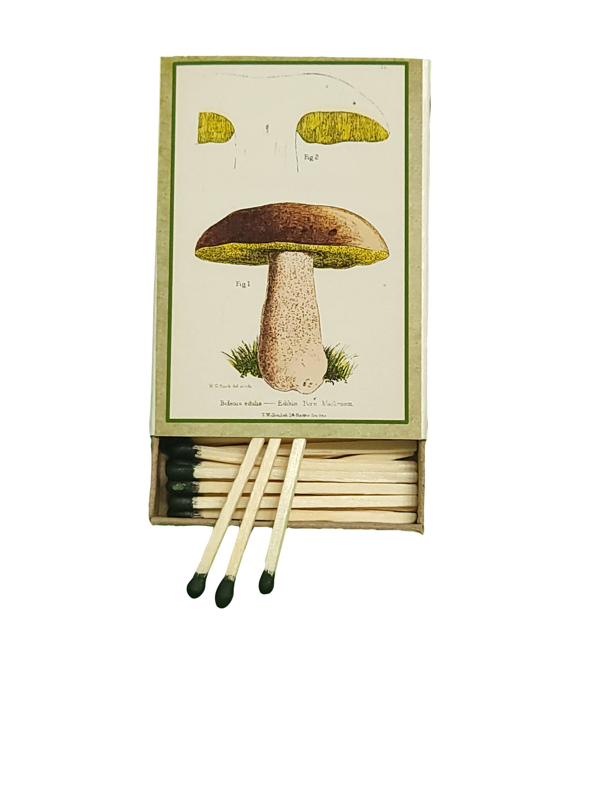 Mushrooms Matchbox