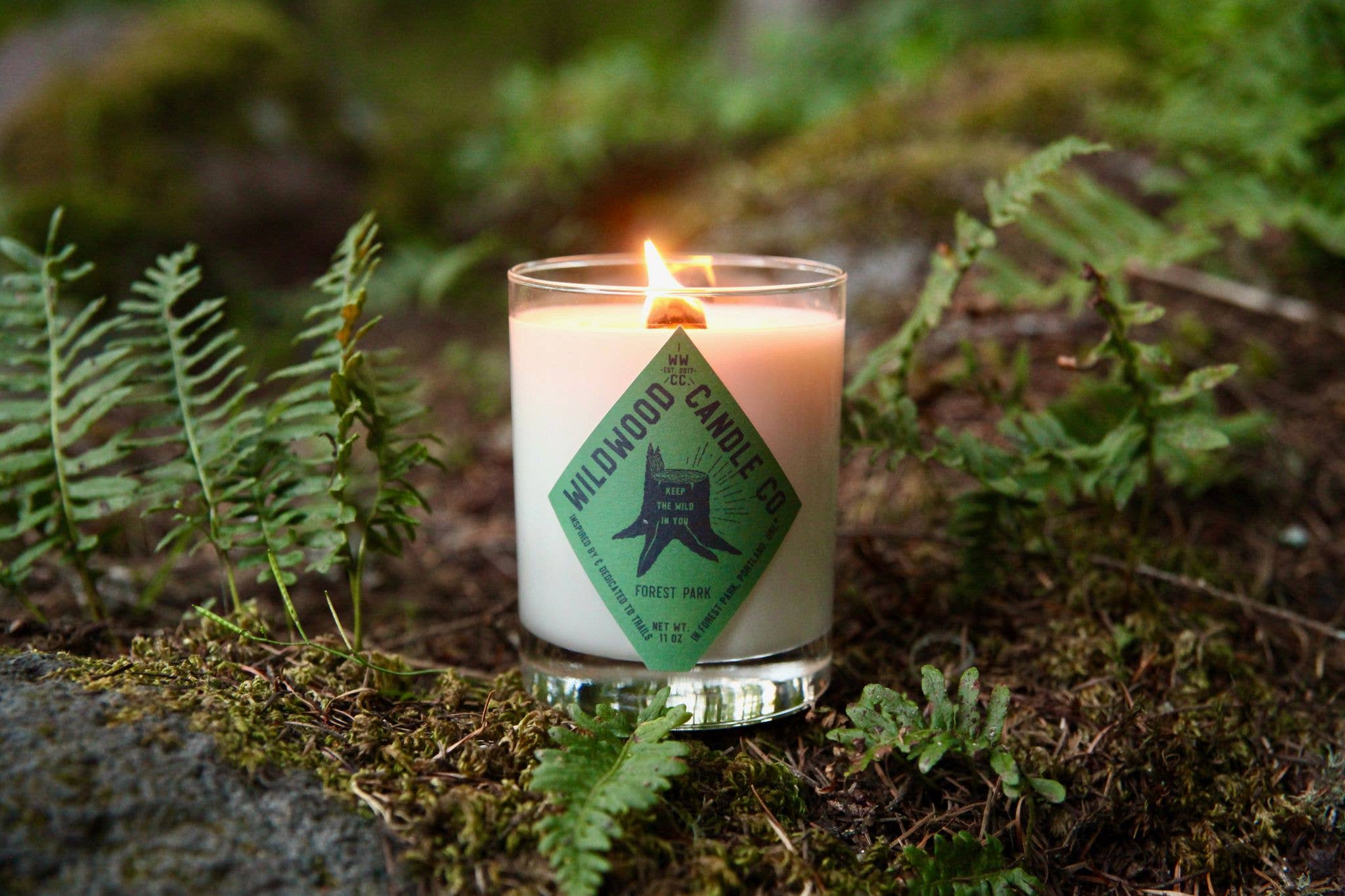 11 oz Forest Park Soy Candle - Mint Oakmoss Amber