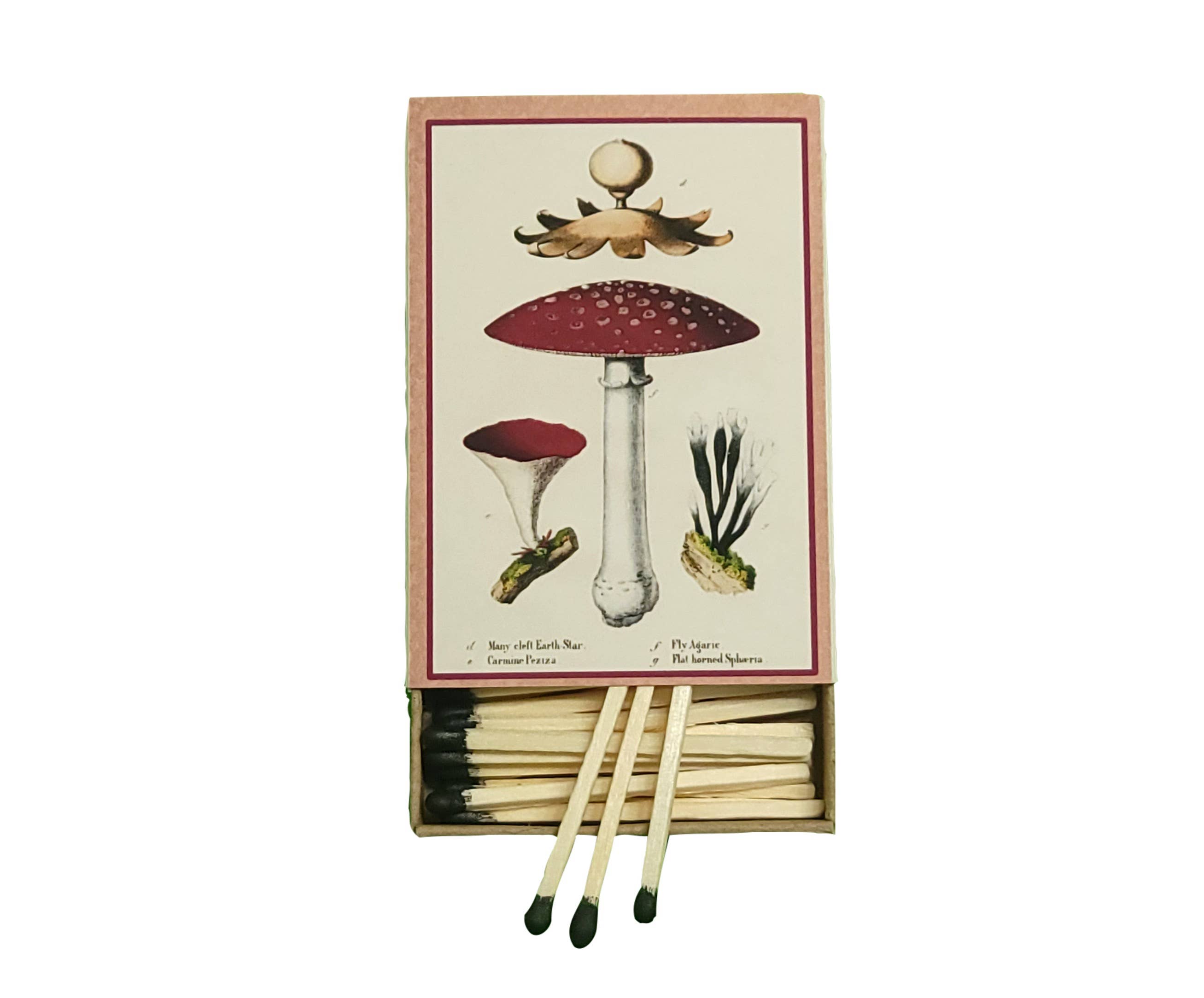 Mushrooms Matchbox